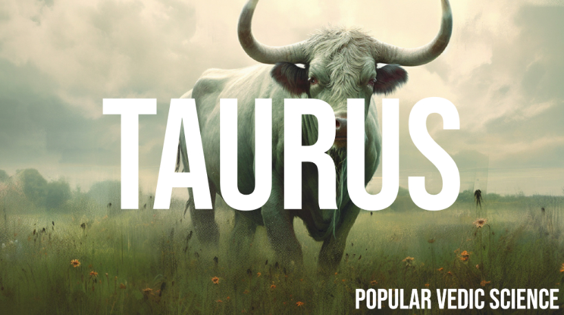 FACTOR CONNECT – Taurus