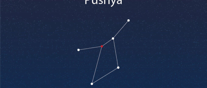 the pushy constellation