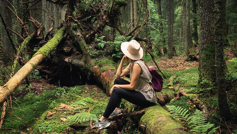 WHAT IS FOREST BATHING?