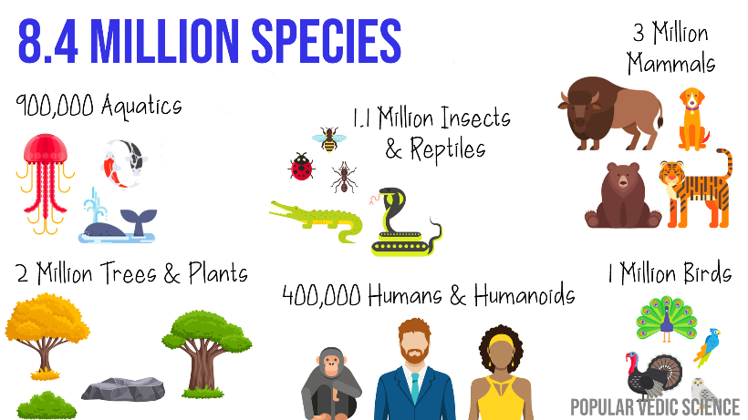 8.4 Million Species of Life